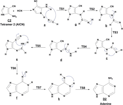 Figure 3. Proposed steps for the formation of adenine D2 from tetramer (2) with HCN molecule, in the gas phase.