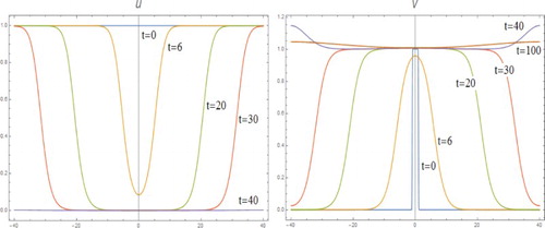 Figure 2. System (II) with m=2 and D=2.