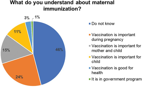 Figure 2. Participants’ understanding about maternal immunization, N = 172.