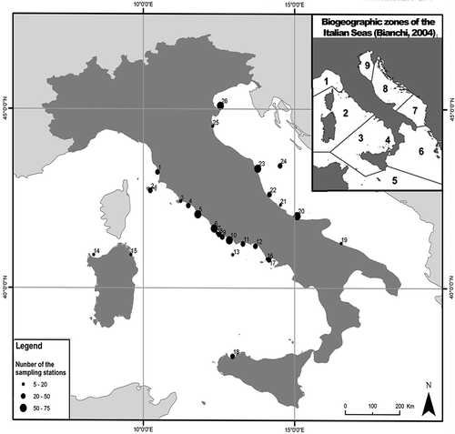 Figure 1. Location of the 26 study areas from which data was extracted. Stations are numbered from the Ligurian Sea to the northern Adriatic Sea. The dimension of the circle is proportional to the number of stations investigated in each area. 1, Rosignano; 2, Elba; 3, Porto Ercole; 4, Montalto; 5, Civitavecchia; 6, Ostia; 7, Torpaterno; 8, Torvaianica; 9, Anzio; 10, Sabaudia; 11, Terracina; 12, Gaeta; 13, Ponza; 14, Porto Torres; 15, Olbia; 16, Baia; 17, Bagnoli; 18, Castellammare; 19, Bisceglie; 20, Molise; 21, Ortona; 22, Giulianova; 23, Marche; 24, Civitanova Marche; 25, Ravenna; 26, Chioggia. The nine biogeographical zones described in the Italian Seas are as according to Bianchi (Citation2004) and followed in the checklist of flora and fauna of the Italian Seas (Relini Citation2008)