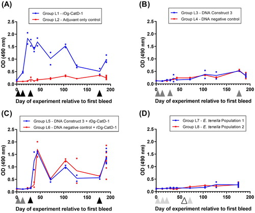 Figure 5. Comparative analysis of serum anti-Dg-CatD-1 IgY levels during the long-term vaccine trial. Comparative ELISA showing levels of circulating anti-Dg-CatD-1 IgY antibodies in chicken sera after delivery of Dg-CatD-1 antigen by: (A) recombinant protein vaccination; (B) DNA vaccination; (C) DNA vaccination prime followed by a recombinant protein boost; and (D) transgenic Eimeria. Black triangles indicate rDg-CatD-1 protein vaccination; dark grey triangles indicate Dg-CatD-1 DNA vaccination; light grey triangles indicate transgenic Dg-CatD-1 Eimeria inoculation; open triangle indicates litter change for chickens receiving transgenic Eimeria. All sera were tested at 1/1600. Individual data points are shown for each replicate sample. At each time point n = 2, except day 191 where n = 4–8. Connecting line represents mean value at each time point.