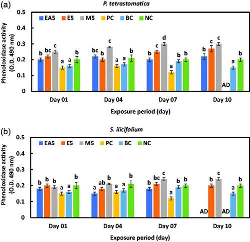 Figure 4. Phenol oxidase (PO) activity of haemocytes of P. monodon fed (a) P. tetrastromatica and (b) S. ilicifolium extracted immunostimulants diets and control diets after challenged with V. parahaemolyticus. Data at the same exposure time with different letters are significantly different (p < .05) among different treatment groups. EA5: ethyl acetate 5 g kg−1; E5: ethanol 5 g kg−1; methanol 5 g kg−1; PC: positive control; BC: blank control; NC: negative control; AD: all died.