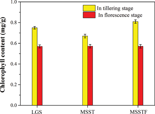 Figure 4. Chlorophyll content of ryegrass in tillering stage and florescence stage.