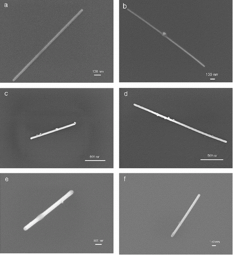 FIG. 2. SEM images of a silver nanowire (a) and dm = 200 nm, (b) and dm = 300 nm, (c) and dm = 200 nm, (d) and dm = 300 nm, (e) and dm = 200 nm, and (f) and dm = 300 nm.