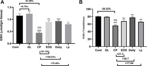 Figure 3 GLM treatment attenuates anti-oxidant activity in liver tissues. Effects of GLM (500 mg/kg/day) on hepatic levels of (A) GSH, (B) SOD % inhibition in CP-induced liver injury in rats. Data are expressed as means ± SEM. Statistically significant differences are indicated as:  $$$compared to control group P<0.001; €€€compared o GL group P<0.001; ***compared to CP group P<0.001; **compared to CP group P<0.01. *compared to CP group P<0.05.