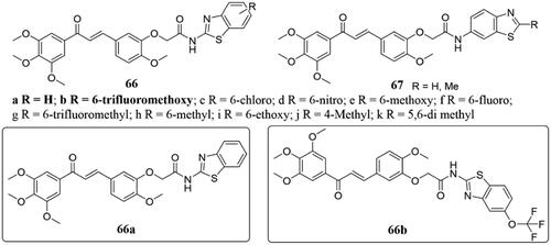 Figure 43. Benzothiazole-chalcone hybrids of 66 and 67.