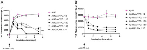 Figure 2. Amyposomes effect on Aβ1-40 aggregation and disaggregation. The effect of Amyposomes on Aβ1-40 aggregation and disaggregation at a different peptide:lipids (M:M) ratios was investigated by measuring the ThT fluorescence intensity. (A) Time course of ThT fluorescence starting from the non aggregated form of Aβ1-40. Data are expressed as the mean ± SD of triplicates and analyzed by two-ANOVA (F = 81.72 p < .0001). (B) Time course of ThT fluorescence starting from Aβ1-40 aggregates. Data are expressed as the mean ± SD of triplicates and analyzed by two-ANOVA (F = 39.71 p <.0001). AMYPO: amyposomes; PLAIN: liposomes composed of SM/Chol (1:1, molar ratio) used as a control.