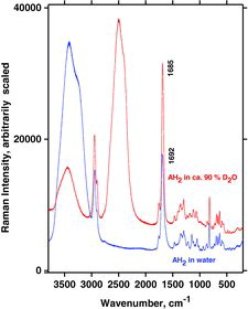 Figure 18. Raman spectra of normal and deuterated (D2O/H2O = ∼90%) aqueous AH2 solutions, as obtained with 532 nm on the DILOR-XY instrument. Solutions were freshly made and recorded at 24°C within 1 h after preparation.
