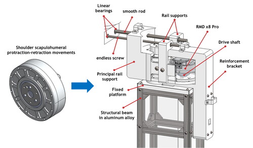 Figure 11. Shoulder protraction-retraction design.
