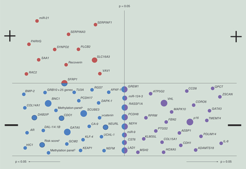 Figure 3. Scatterplot of all reported prognostic methylation markers for renal cell carcinoma and their association with patient survival.Each dot represents one methylation marker. Large dots indicate methylation markers that have been independently validated in different studies, medium dots indicate that a methylation marker has been reported in one study but validated within this study in an additional patient cohort (internal validation) and small dots represent methylation markers that are reported by a single study in a single patient cohort.Top left panel: Methylation markers with a statistically significant positive association with patient survival; Top right panel: Methylation markers with a nonsignificant positive association with patient survival; Bottom left panel: Methylation markers with a statistically significant negative association with patient survival; Bottom right panel: Methylation markers with a nonsignificant negative association with patient survival. aMethylation marker panel: Three or more of the following genes methylated: p16, hMLH1, VHL, THBS-1, MINT1, MINT2, MINT12, MINT25 and MINT31. bRisk score: Risk score based on a multivariate LASSO Cox regression model: Risk score = (0.0066 × PITX1) + (0.0034 × FOXE3) – (0.027 × TWF2) – (0.018 × EHBP1L1) – (0.03 × RIN1). cMethylation marker panel: ≥16/23 CpG units methylated (encompassing seven genes, i.e., TRH, FAM150A, PRAC, SLC13A5, ZNF540, ZNF154 and ZNF671).