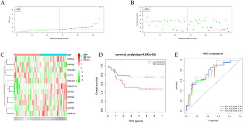 Figure 4. Performance evaluation and validation of the CC prognostic model in the GSE52903 dataset. (A) Distribution of riskscore for high/low-risk group patients in GSE52903. (B) Distribution of survival status for high/low-risk group patients in GSE52903. (C) Heatmap showing the expression levels of prognostic genes for high/low-risk group patients in GSE52903. (D) Survival curve analysis for high/low-risk group patients in GSE52903. (E) ROC curves show the accuracy of the model in predicting 1-year, 3-year, and 5-year survival of CC patients.