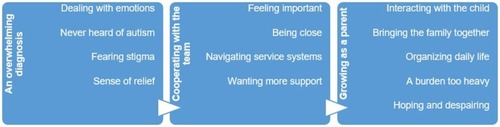 Figure 2 Presentation of the subthemes in each of the main themes.