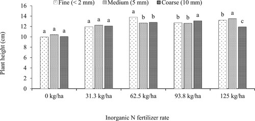 Figure 3. Effect of inorganic N fertilizer and biochar size on lettuce height (average of two cropping seasons) grown in moist semi-deciduous rainforest of Ghana. Bars with different letters are significantly different at P < 0.05. Values are means of height measurement taken at 5, 6, 7 and 8 weeks after planting.
