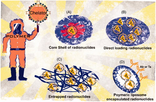 Figure 3. Schematic variations of radioactive polymeric nanoparticles. (A) Entrapment of the radionuclide in the core of the polymeric nanoparticle core using a chelator to increase the affinity. (B) Physisorption of radionuclide with polymeric nanoparticle. In this case the use of chelators is avoided. (C) Chemisorption of radionuclides with the use of chelators in order to conjugate with a previously entrapped compound (i.e. proteins, peptides, etc.). (D) Entrapment of radionuclides into polymeric liposomes trapped in the lipid bilayer without alteration in the membrane structure, making possible the decoration with monoclonal antibodies, for instance.