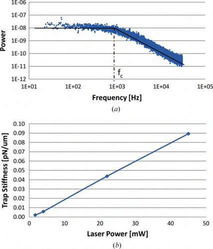 Figure 14 (a) Power spectral density measurement of a single trapped particle for a laser power of 10 mW measured at the entrance to the microscope objective. (b) Trap stiffness for different laser powers. The average error in the stiffness was estimated to be 10% of the displayed values. (Figure is provided in color online.).