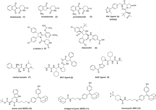 Figure 1. Structures of E3 ligase degraders