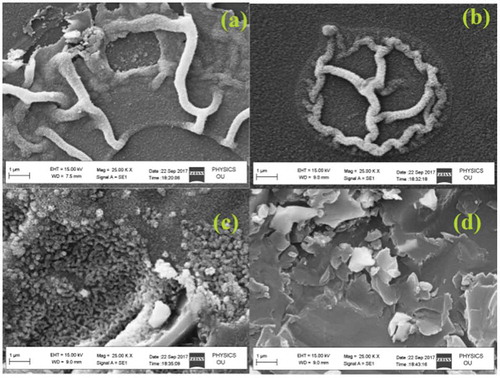 Figure 3. SEM micrographs of ZnO thin films deposited at (a) 0.1M, (b) 0.2M, (c) 0.3M, and (d) 0.4M.