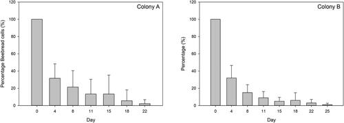 Figure 3. Overview of the average percentage remaining beebread cells over time. Error bars denote the calculated standard deviation. The total number of recorded initial cells in colony A was 2,916 in the period 7 June until 12 July 2018, while in colony B this comprised 4,753 cells in the period 21 June until 2 August 2018.