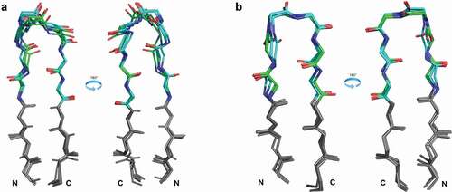 Figure 5. Comparison of H4 and L4 clusters with structural homology