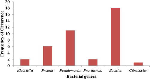 Figure 1. Frequency of occurrence of metal-resistant bacteria from selected printeries.