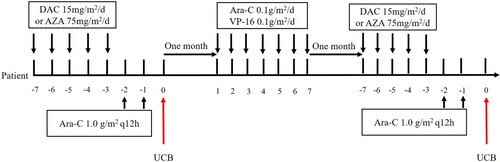 Figure 2. Treatment regimen of MST infusion of HLA mismatched umbilical cord blood stem cell. Umbilical cord blood stem cells were derived from the Cord Blood Bank of Shandong, China. The patients were administered decitabine (15 mg/m2 every day on days 1–5) or azacitidine (75 mg/m2 every day on days 1–5) and median cytarabine (1.0 g/m2 every 12 h intravenously on days 1–2) followed by infusion of HLA mismatched umbilical cord blood stem cell 24 h after chemotherapy, with three months intervals between two courses, EA regimen (cytarabine 0.1 g/m2 every day on days 17 and etoposide 0.1 g/m2 every day on days 1–7) was given in the interval as consolidation chemotherapy.