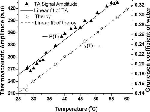 Figure 2. Peak thermoacoustic pressure induced in water with various temperatures. The triangle represents experimental data and the circles are the Grüneisen coefficient. The solid line is the fitting curve of experimental data versus temperature while the dashed line is a fit to literature data Citation[31].