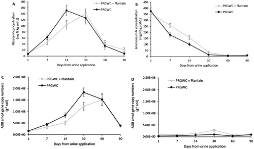 Figure 9. Mean ammonium–N concentrations (mg N kg soil−1) (A), nitrate–N concentrations (mg N kg soil−1) (B), AOB amoA abundance (copy numbers g−1 soil) (C) and AOA amoA abundance (copy numbers g−1 soil) (D) in the soil as affected by forage type for the urine only treatments. Note: Error bars are ± SEM.