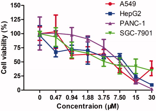 Figure 6. Dose–response curves of 13 in incubation with cancer cell lines (mean ± SD, n = 3).