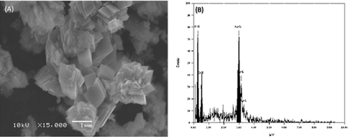 Figure 4. Scanning electron microscopy (A) and EDX (B) of Ag NPs.