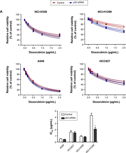 Figure S1 Cell viability (A) and apoptosis (B) in doxorubicin (Dox)-treated non-small cell lung cancer cells before and after p53 knockdown. * represents statistical significance with P<0.05.