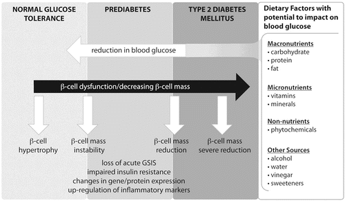 Figure 1 Potential for dietary factors to reduce blood glucose levels and impact on β-cell function and associated biomarkers.GSIS, glucose-stimulated insulin secretion.