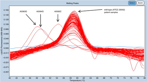 Fig. 2 A representative example of a typical result from one of the channels (645 nm) in the duplex FRET real-time PCR showing distinct T m-differences of patient samples, aligned with the wild-type control strain ATCC 29342 and three control strains, respectively. The blue line without melting point corresponds to a negative sample with no amplification of M. pneumoniae DNA.