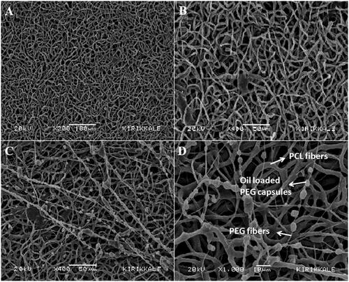 Figure 2. SEM images of top and bottom layers of 7% (v/v) H. perforatum oil containing PEG-PCL membrane: top layer of the membrane made of PCL fibres, (A) x200 magnification, (B) x400 magnification; bottom layer of the membranes in contact with the wound (PCL fibres and thin PEG fibres carrying the PEG capsules with H. perforatum oil), (C) x400 magnification, (D) x1000 magnification.