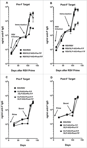 Figure 4. Total anti-F protein antibody in animal sera. Total anti-F protein antibody was measured in ELISA using as target purified soluble pre-fusion F (panels A and C) or purified soluble post-fusion F protein (panels B and D). Panels A and B show ng/ml of anti-F protein IgG at different time points in RSV-experienced animals. Results are the average of 2 separate determinations. For the pre-F target as well as post-F target the difference at day 128 between RSV/VLP-H/G+Pre-F/F and RSV/VLP-H/G+Post-F/F groups was not significant. For the pre-F target, p value for difference between RSV/VLP-H/G+Pre-F/F and RSV/RSV was 0.030 while the difference between RSV/RSV and RSV/VLP-H/G+Post-F/F immunization was not significant. For the post F target, the p values for differences between RSV/VLP-H/G+Pre-F/F or RSV/VLP-H/G+Post-F/F VLP immunization and RSV/RSV immunization were 0.034 and 0.0011, respectively. Panels C and D show ng/ml of anti-F protein IgG at different time-points in immunized naïve animals. Figure shows results of one of 2 determinations with identical results and replicates results previously reported.Citation21 For the pre-F target or the post-F target the differences in values at day 128 between all groups were not significant.