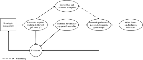 Figure 1. Bioeconomic rationale of lameness in broiler production.