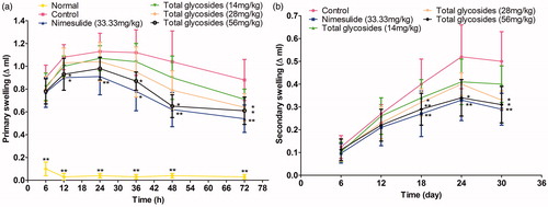 Figure 7. Effect of total glycosides from P. hookeri on paw swelling in AA rats. The left hind paw of rats was injected intradermally with 0.1 ml of CFA. Total glycosides (14, 28, 56 mg/kg), or nimesulide (33.33 mg/kg) or vehicle was pretreated for 3 days before CFA injection and then administered 1 h after CFA injection and their daily treatment continued until 30 days after CFA challenge. The primary swelling was measured at 6, 12, 24 36, 48 and 72 h after CFA injection. And secondary paw swelling was assessed on 6, 12, 18, 24 and 30 days after CFA injection. All data are represented as mean ± SD, n = 10, *p < 0.05, **p < 0.01 vs control.