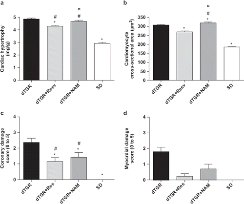 Figure 2. Bar graphs showing the effects of resveratrol and nicotinamide treatments on cardiac hypertrophy measured as heart weight-to-body weight ratio (a), cardiomyocyte cross-sectional area (b), coronary damage score (c), and myocardial damage score (d). For abbreviations, see Means±SEM are given, n=6–17 in each group. *p<0.05 compared with dTGR; ¤p<0.05 compared with dTGR+Resveratrol; #p<0.05 compared with SD.