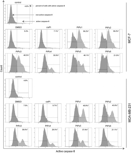 Figure 12. Flow cytometric analysis of populations MCF-7 and MDA-MB-231 breast cancer cells treated for 24 h with PtPz1–PtPz6 (20 μM) and cisplatin (20 μM) for active caspase-8. Mean percentage values from three independent experiments (n = 3) done in duplicate are presented. *p <.05 versus control group.