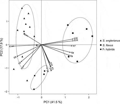 Figure 5. Principal component analysis (PCA) biplot of 14 quantitative trait variables (C1–C14) measured for Senecio englerianus (N = 13), S. flavus (N = 6; Morocco, Fuerteventura), and F1 hybrids (N = 4). Percentages of total variance explained by each component (PC1, PC2) are noted in parentheses. Ellipses were fitted to the PCA plane (rather than to the full multivariate data set) so as to include 95% of the points in each of the three groups. See Table 2 for identification of trait codes (C1–C14), and Table S5 for details of trait measurements as well as factor loadings and variable contributions (in %) for each component.