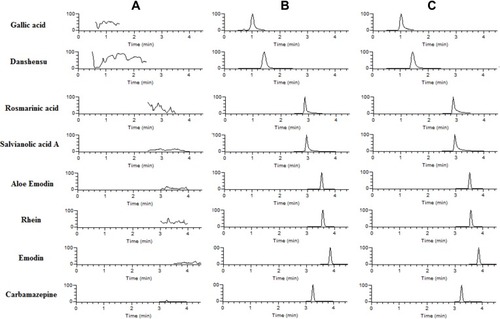 Figure 1 The extracted ion chromatograms (XIC) of the seven analytes in rat plasma. (A) Blank plasma, (B) blank plasma spiked with seven analytes and IS, and (C) rat plasma samples at 0.083 h after intravenous administration of SK injection.