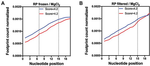 Figure 4. Ribosome occupancy at the first 20 nucleotides of genes with GFP scores higher than 4.2 at codon positions 3–5 (nucleotides 7–15) are lower when compared to other genes. The average ribosome footprint counts of each group were obtained from ribosome profiling (RP) libraries of differently treated samples: frozen/MgCl2 (A) or filtered/MgCl2 (B) [Citation33]. For each gene, the number of reads per base was normalized to the total number of reads.