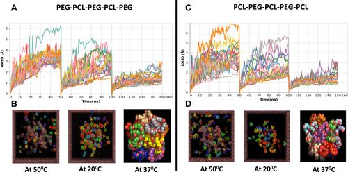 Figure 3 In silico modeling of two possible combination of PCL-PEG co-polymer chain PEG-PCL-PEG-PCL-PEG and PCL-PEG-PCL-PEG-PCL using Molecular Dynamics (MD) simulation. (A and C) Root means square deviation (RMSD) graph of total simulation time of 150 ns at 50°C, 20°C and 37°C for 50 ns each. (B and D) Representation of simulation of PCL-PEG molecules (ball chain) in cubic box with water molecules (mesh) at 50°C, 20°C, and 37°C (isolated final stable micelle formed from ~20 polymer molecules.