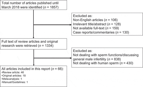 Figure 1. Flow chart of study selection according to PRISMA checklist.