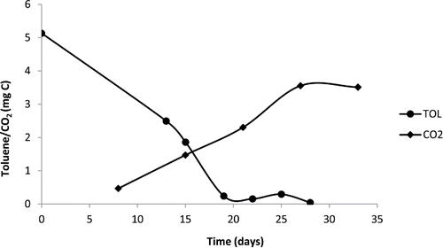 Figure 4. Graph of gas chromatography screening for toluene consumption and CO2 production by Exophiala mesophila (strain 64, CBS 120910).