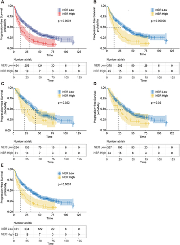 Figure 1 Kaplan–Meier curves of PFS for patients with different NER groups. (A) Kaplan–Meier curves of PFS for patients with different NER groups in the total cohort. (B–E) Kaplan-Meier curves of PFS in different NER groups in patients negative for microvascular invasion (B), alpha-fetoprotein (AFP) ≤400 (C), Tumor diameter ≤4.5cm (D), single tumor (E).