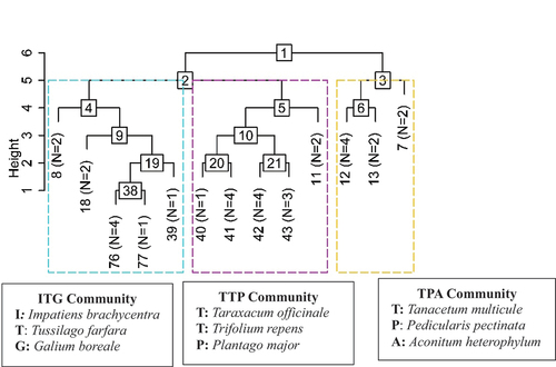 Figure 3. Classification (TWINSPAN) of understory herb vegetation presenting three communities structured in Gurez valley of Kashmir Himalayan region. The numerical numbers within square at each node represent the division number. N is the number of plots. Communities are named based on the indicator species.