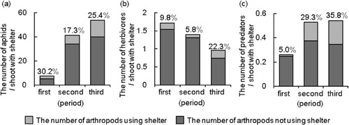 Figure 5. Number of (a) aphids, (b) herbivores, and (c) generalist predators per shoot with shelters. The numbers above the bars represent the percentage of aphids, herbivores, and generalist predators using shelters. The number of shoots with shelters in the first period, N = 77; second period, N = 174; third period, N = 98.
