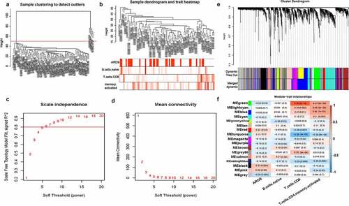 Figure 3. Construction of weighted co-expression network and identification of key modules.