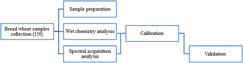 Figure 1. The whole process of calibration model development flow chart for bread wheat.