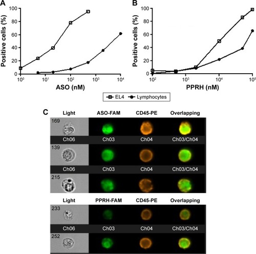 Figure 2 Identification of EL4 ASO-FAM- and PPRH-FAM-positive lymphocytes and EL4 cells.
